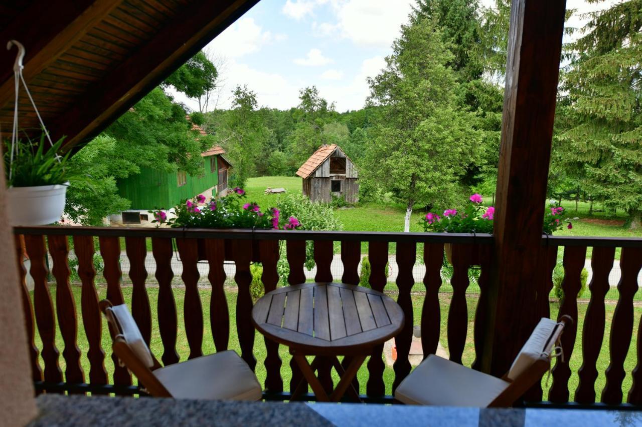 Apartman Jelena Раковица Екстер'єр фото
