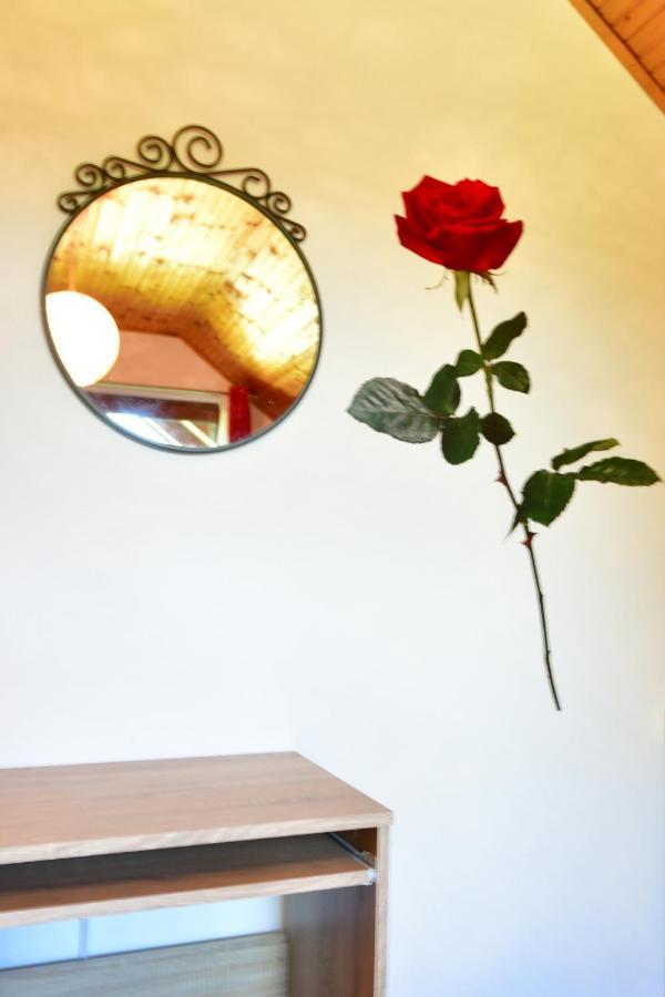 Apartman Jelena Раковица Екстер'єр фото